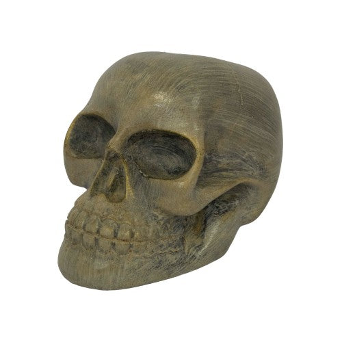 CALABERA 20 CM REF 590 - 24