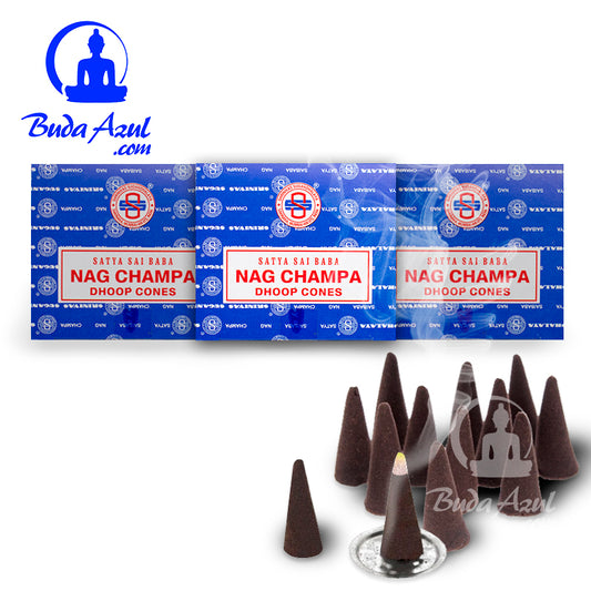 Cono SATYA NAG CHAMPA