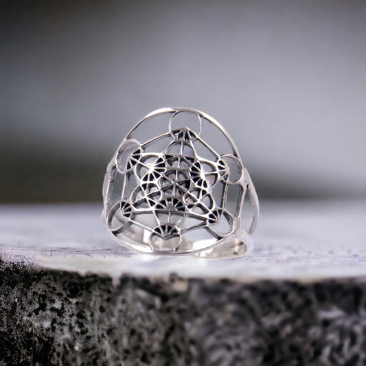 Anillo Plata de Ley 925  METATRON Plata de Ley REF 690