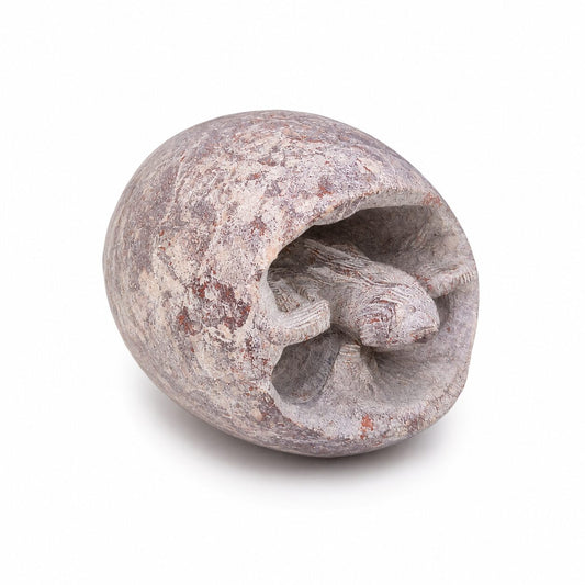 Pisapapeles Decorativo Egg Baby de Piedra con Tortuga Tallada