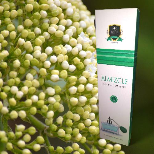INCIENSO ALAUKIK - ALMIZCLE Pack 12 cajas