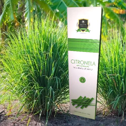 INCIENSO ALAUKIK - CITRONELLA Pack 12 cajas