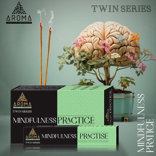 Incienso AROMA Twin Series MINDFULNESS PRACTICE Pack 12 cajas