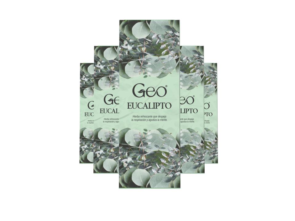 Incienso EUCALIPTO GEO Hexagonal 6 cajitas