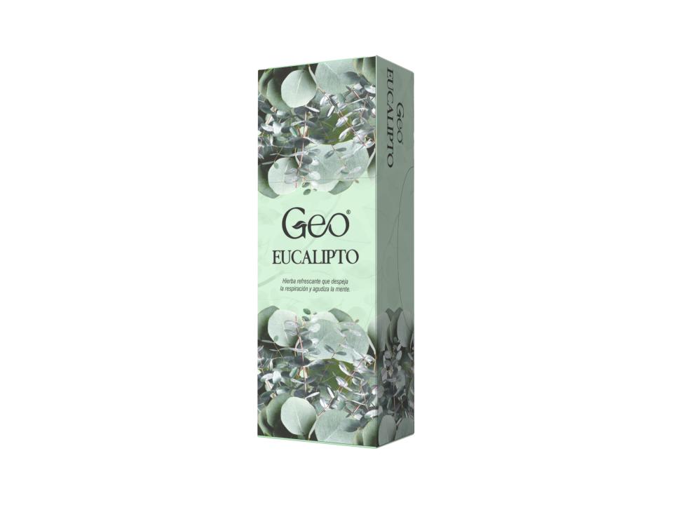 Incienso EUCALIPTO GEO Hexagonal 6 cajitas