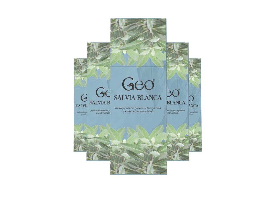 Incienso SALVIA BLANCA GEO Hexagonal 6 cajitas