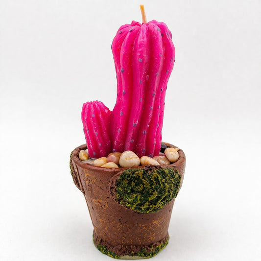 Vela Decorativa Cactus en Maceta – Color Fucsia